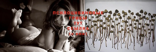 марки nbome Гусиноозёрск