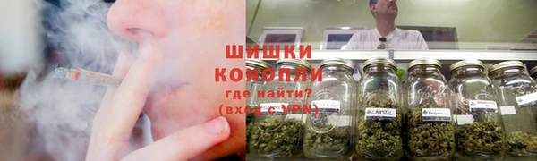 скорость Гусев