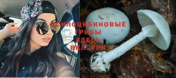 скорость Гусев