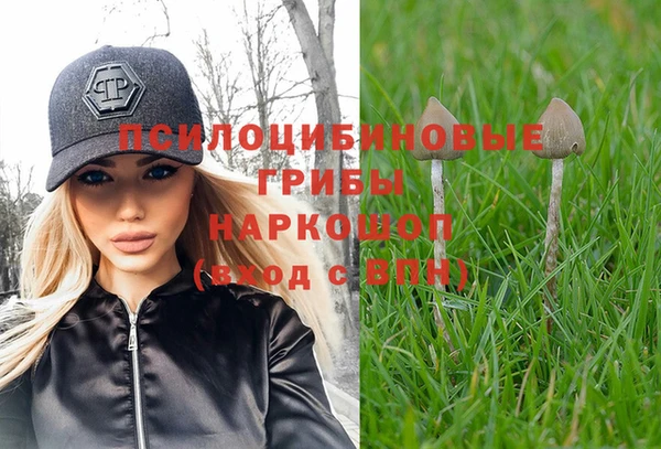 скорость Гусев