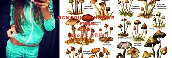 марки nbome Гусиноозёрск
