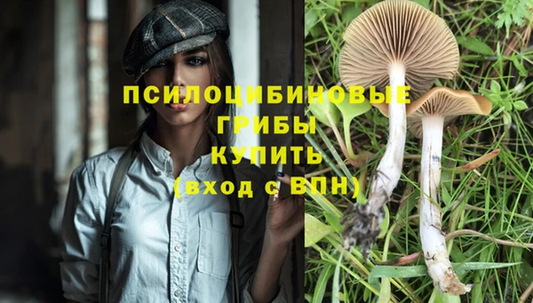 скорость Гусев