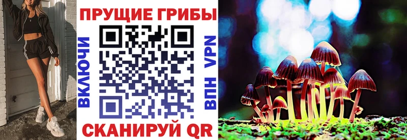 Купить  Нерюнгри  Галлюциногенные грибы Magic Shrooms 